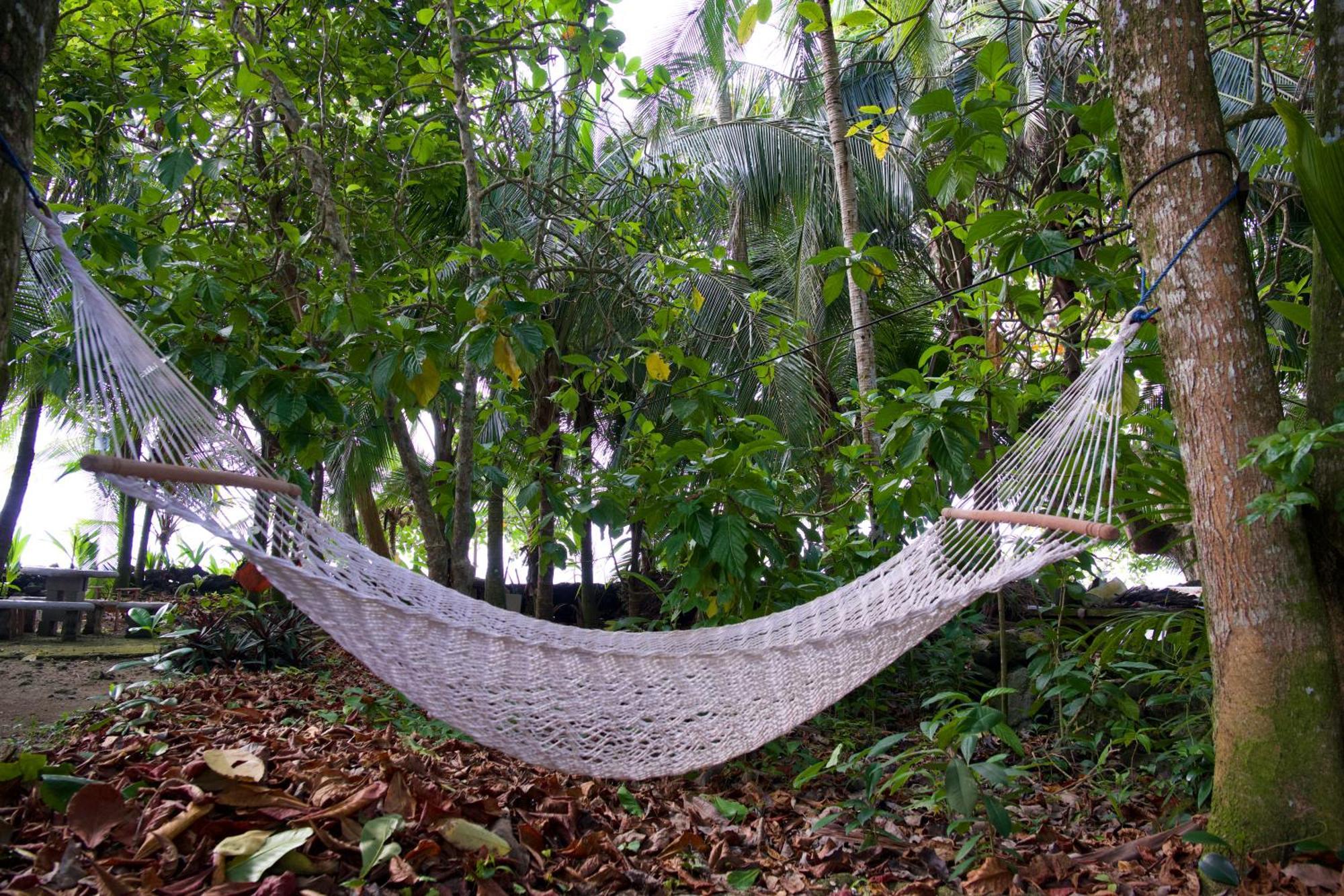 Casa Mamre Vandrehjem Cahuita Eksteriør billede