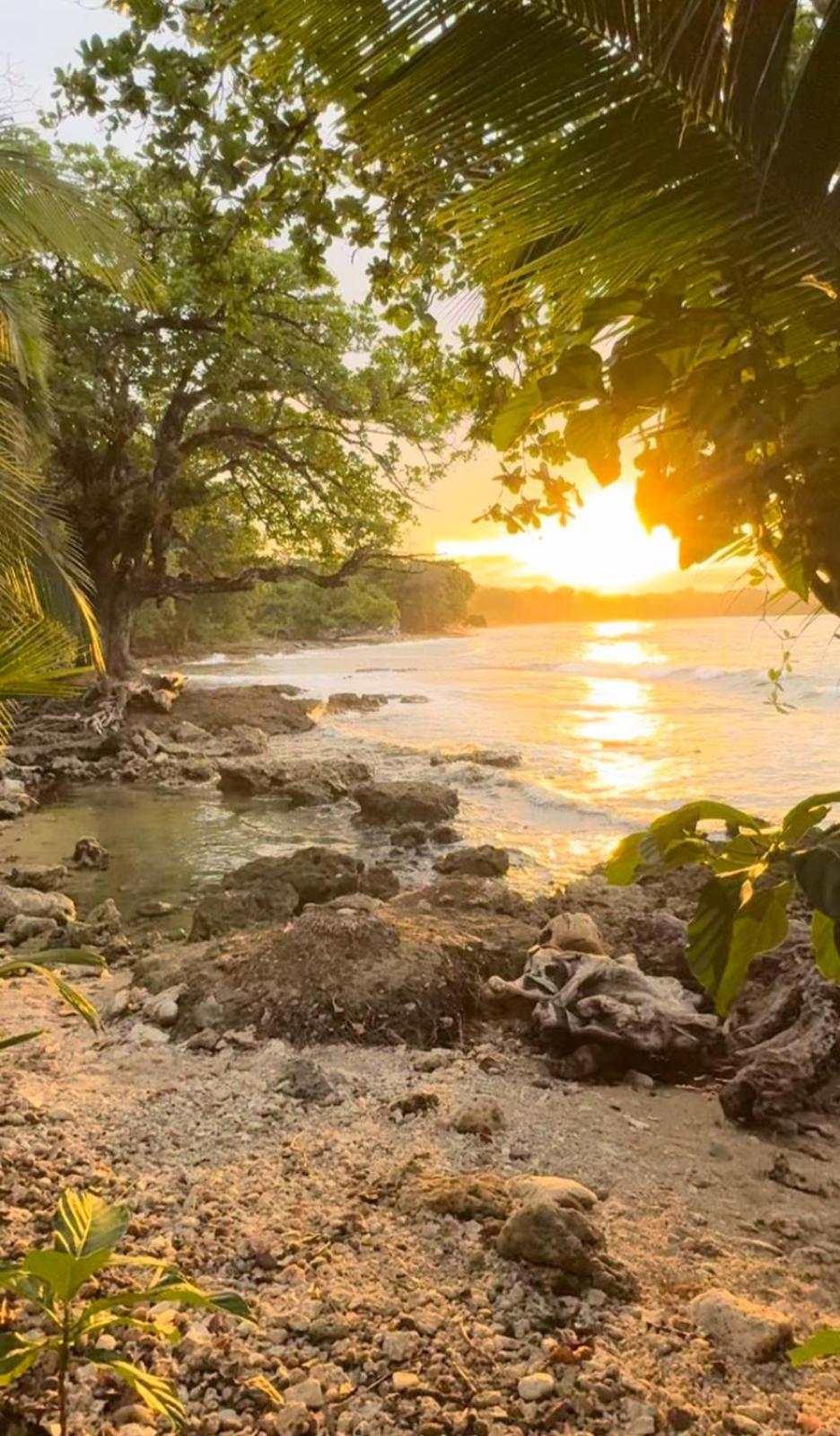 Casa Mamre Vandrehjem Cahuita Eksteriør billede