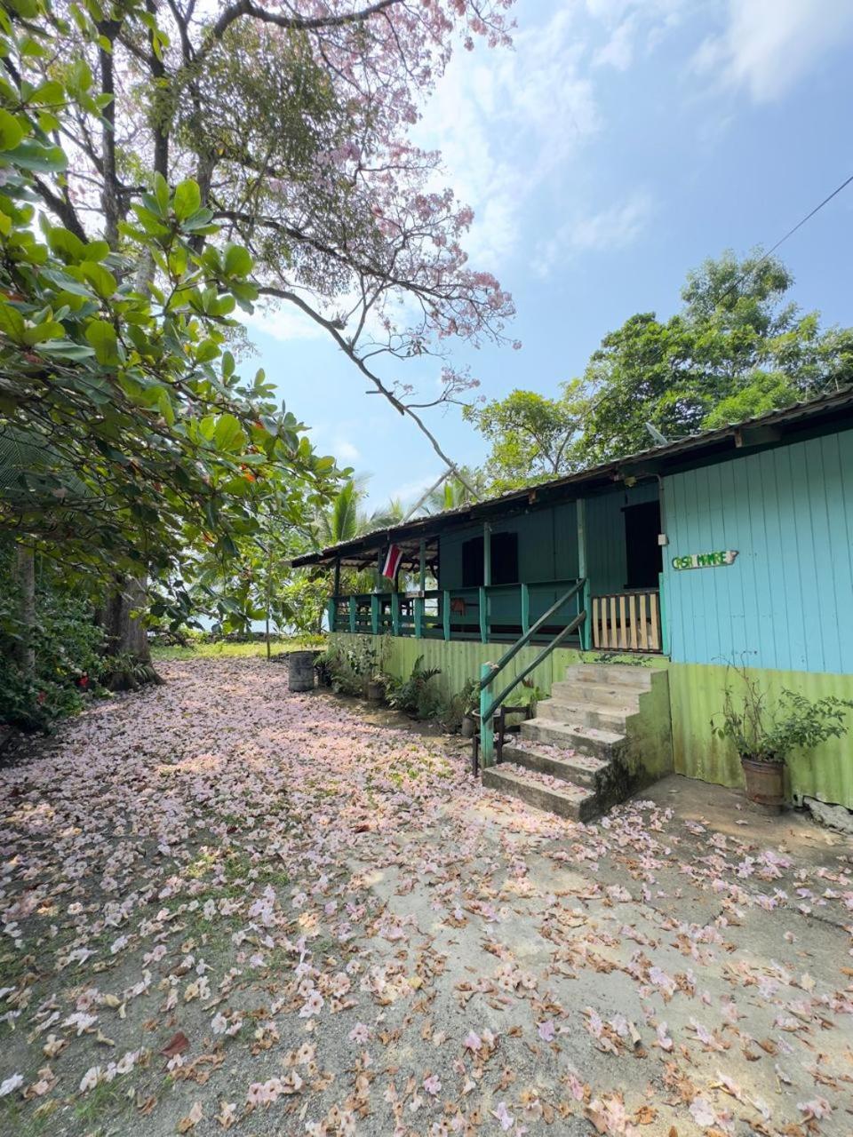 Casa Mamre Vandrehjem Cahuita Eksteriør billede